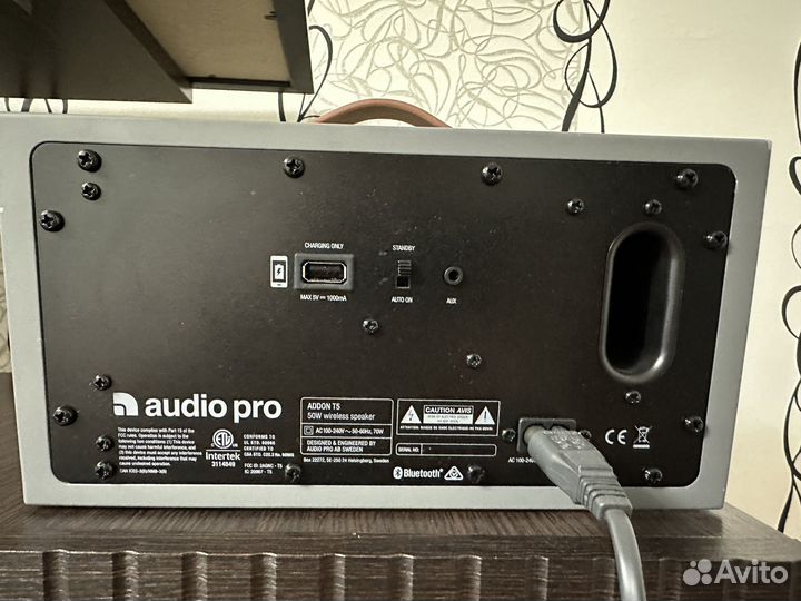 Колонка Audio pro T5