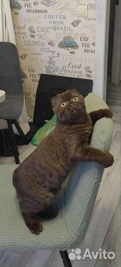 Котик для вязки