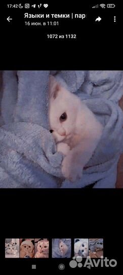 Очень красивые плокаты