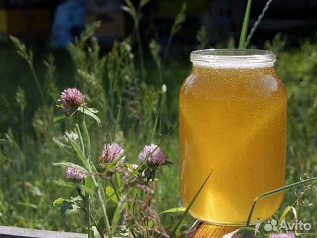 Мёд с личной пасеки