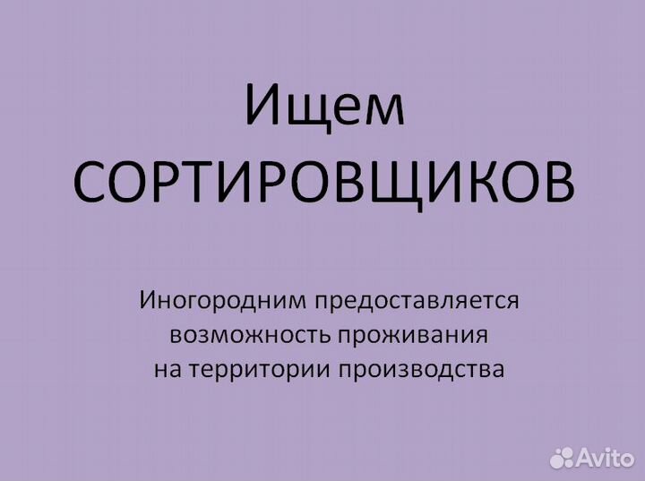 Сортировщики (график 2/2)