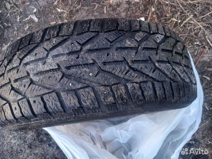 Tigar Ice 205/55 R16