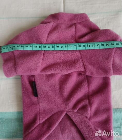 Одежда для кошек и маленьких собак