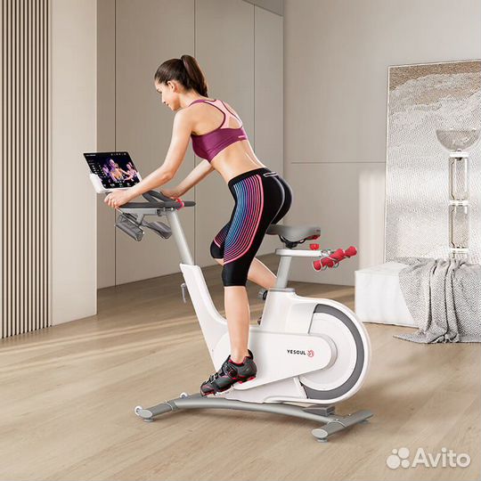 Велотренажер Xiaomi yesoul Smart Bike V1 черный