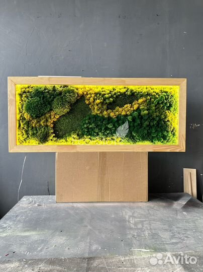 Картина из микса мха с подсветкой