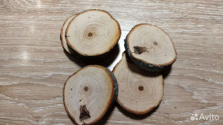 Спилы дерева