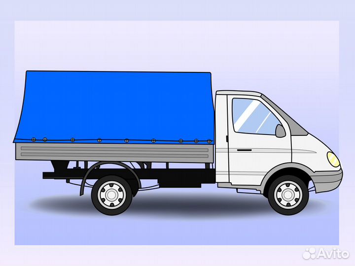 Водитель с личной газелью