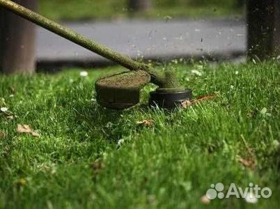 Покос травы бензотриммером,спил кустарника