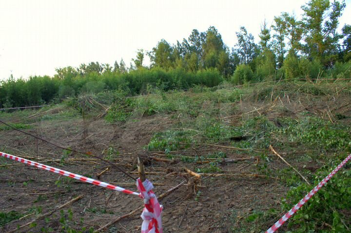 Участок 12 сот. (СНТ, ДНП)