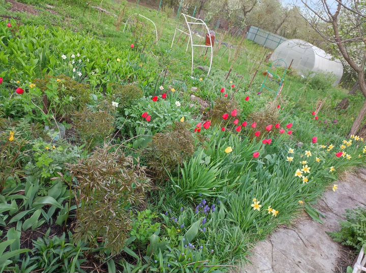 Участок 8 сот. (ИЖС)