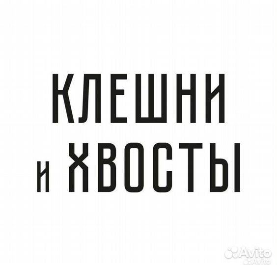 Бармен