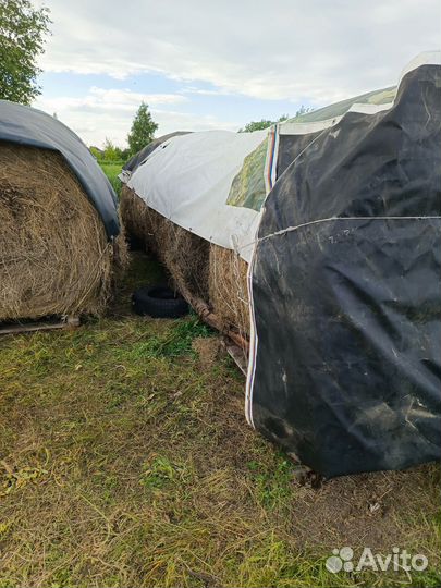 Козье молоко