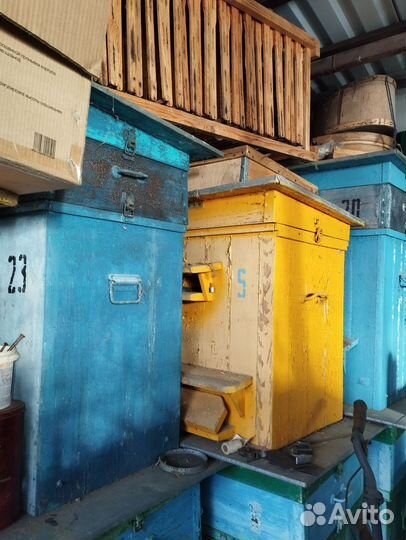 Ульи для пчел