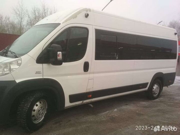 Заказ, аренда, автобуса, микроавтобуса