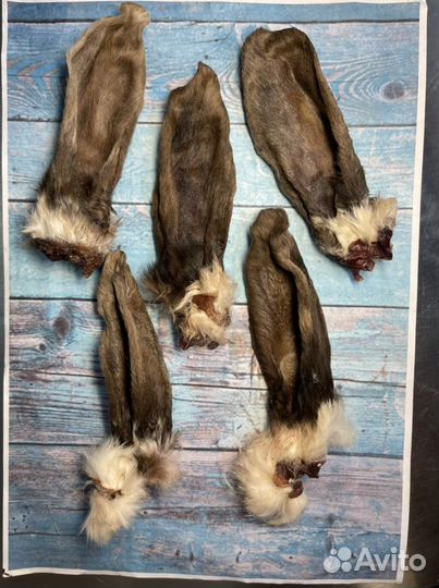 Вкусняшки для собак