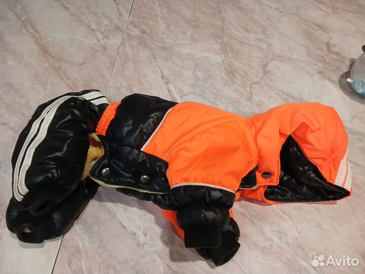 Комбинезон зимний для мини породы