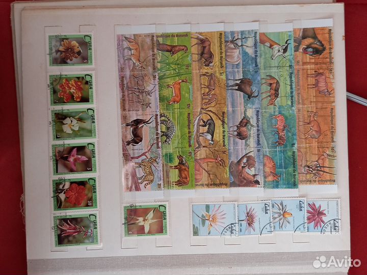 Почтовые марки (Флора-фауна)