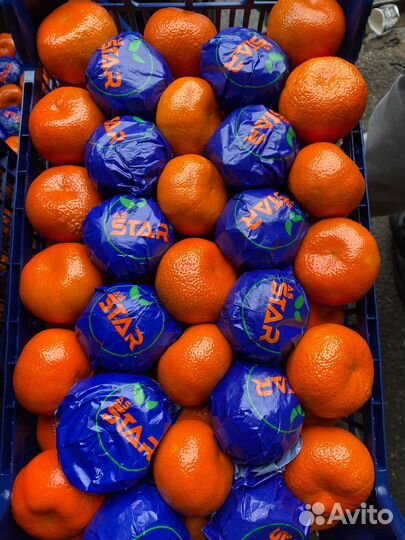 Продавец овощей и фруктов