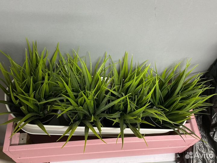 Искусственные цветы IKEA