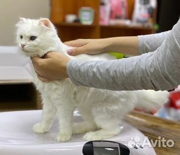 Солнечная девочка