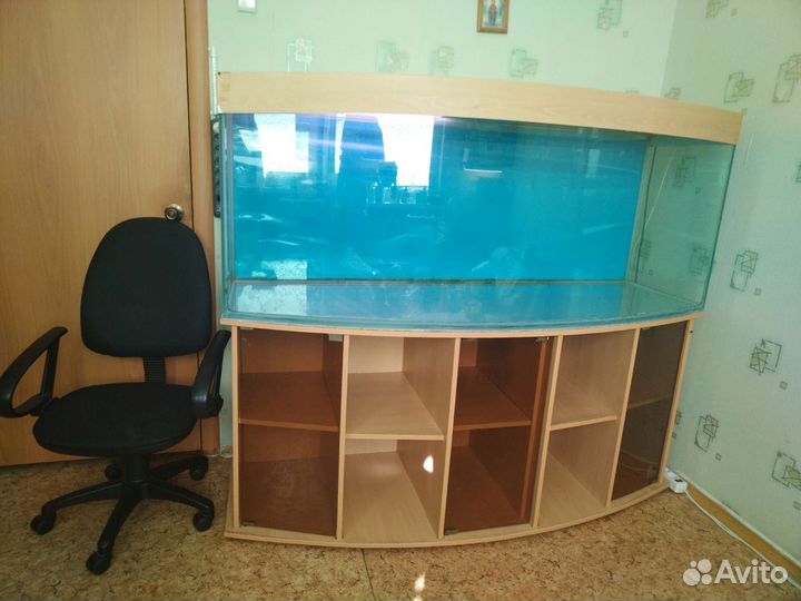 Аквариум Панорамный с тумбой Б/У