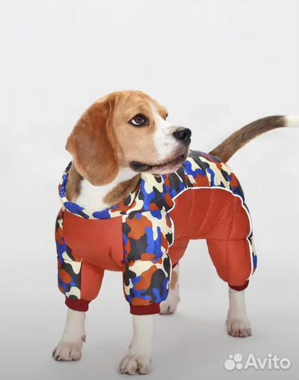 Зимний костюм для собак