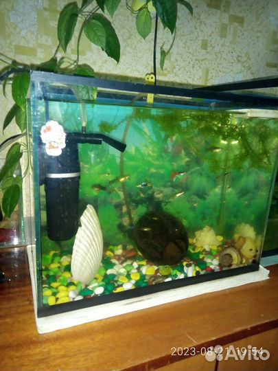 Аквариум 20 литров