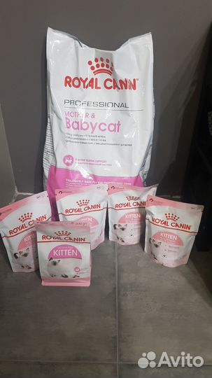 Корм для кошек