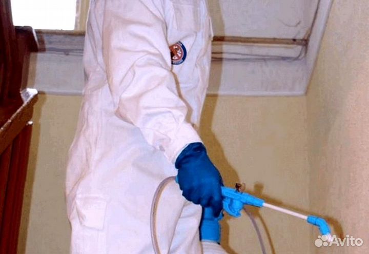 Средство против клопов