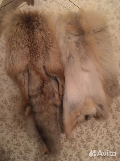Шкурки лисы