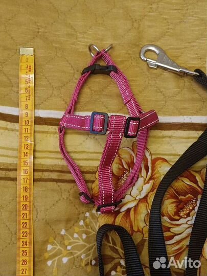 Товары для домашних животных