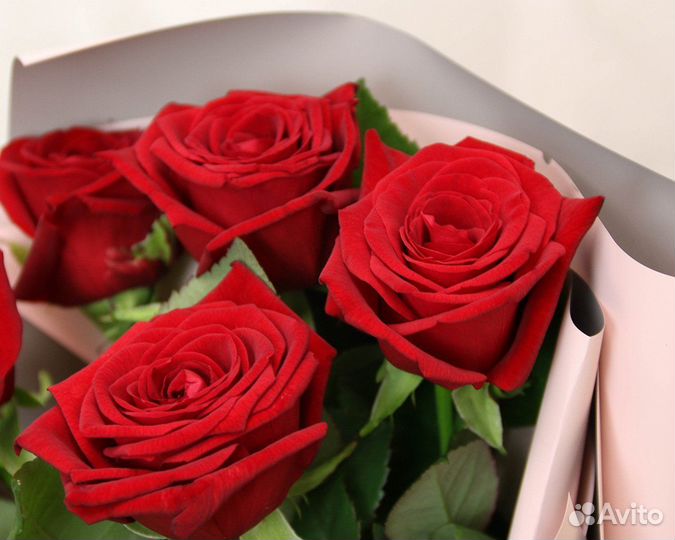 Букет из 5 красных роз 50-60 см (Россия)