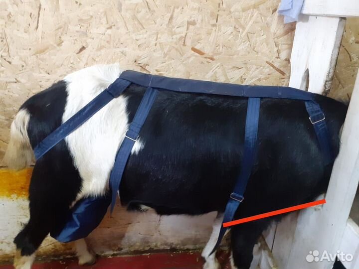 Фартуки для козлов