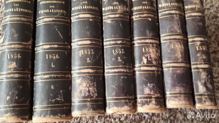 Доклады с 1856-1858 г