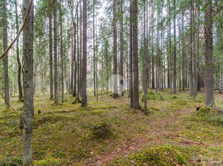 Дача 50 м² на участке 13,2 сот.