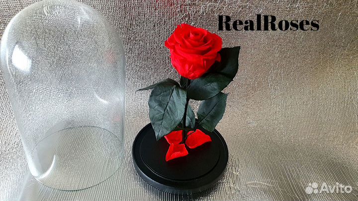 Роза в колбе