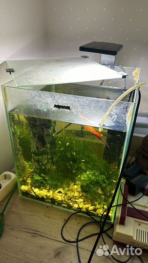 Аквариум с рыбками