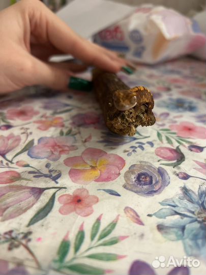 Гекор бананоед