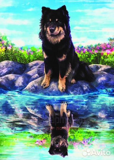 Алмазная мозаика 30x40 Кудлатый пес и его отражени