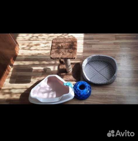 Принодлежности для котиков