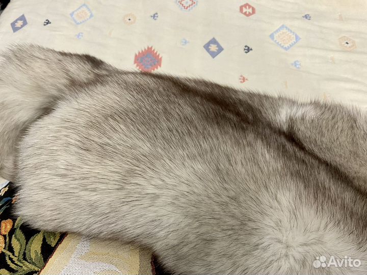 Шкурка животного, песец 150 см