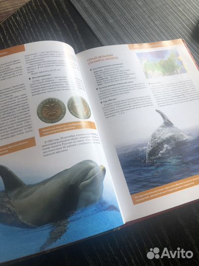 Красная книга россии