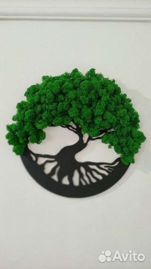 Панно настенное со мхом