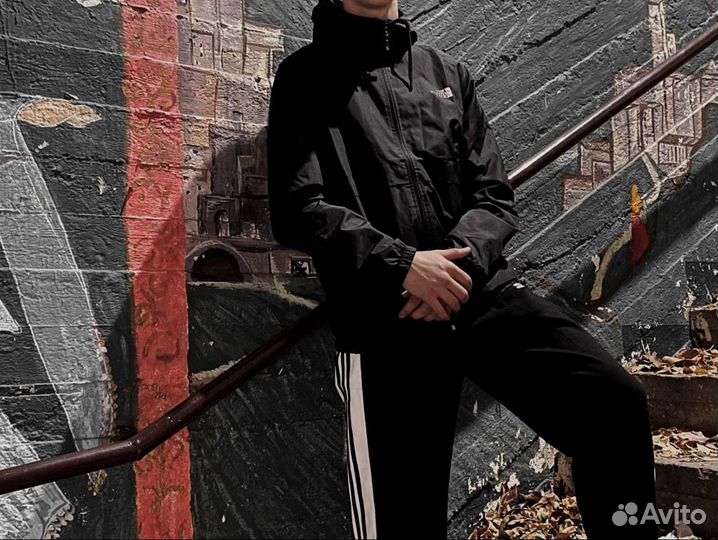 Ветровка the north face