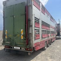 Полуприцеп для перевозки скота Pezzaioli 31G, 2004, Бишкек