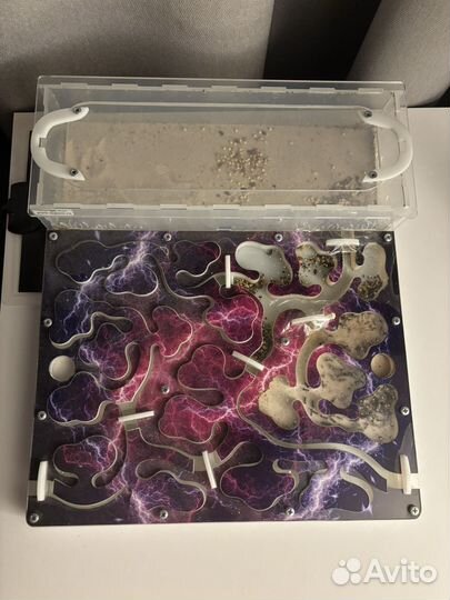 Муравьиная ферма