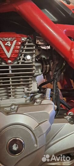 BSE z11