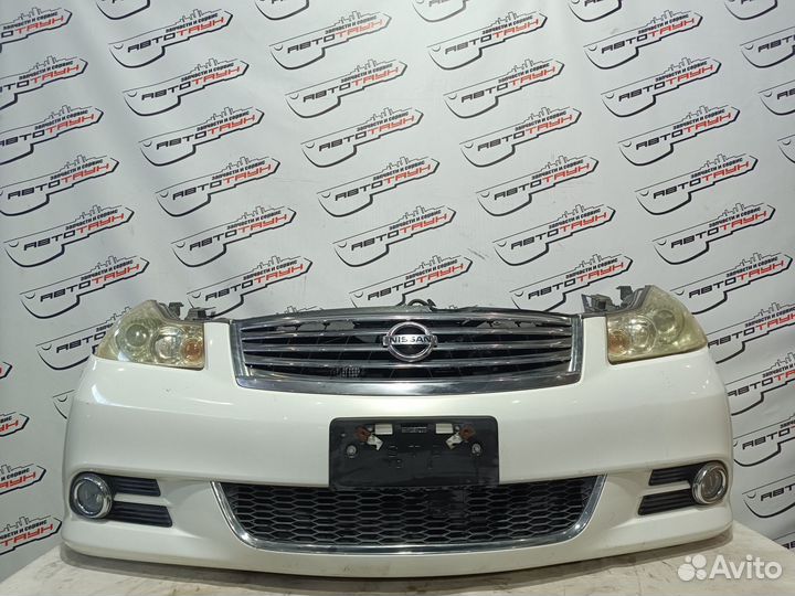 Nosecut nissan infiniti fuga M35 M45 GY50 PNY50 PY