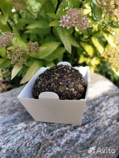 Козье молоко Сыр Брынза, Качотта, Белпер с Алтая