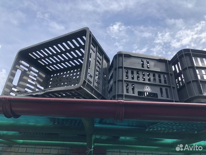 Пластиковые ящики бу